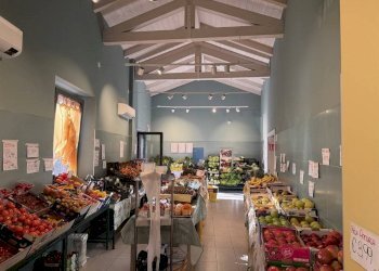 Negozio Ravenna - foto 7