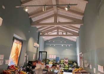 Negozio Ravenna - foto 8