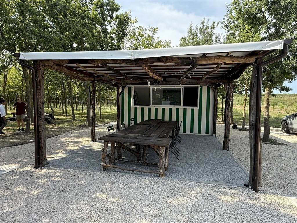 Negozio Ravenna - foto 2