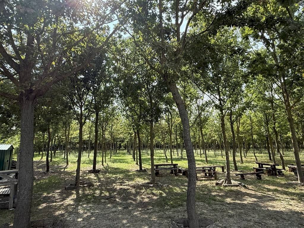 Negozio Ravenna - foto 3