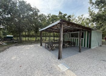 Negozio Ravenna - foto 4