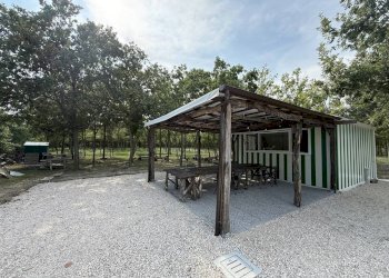 Negozio Ravenna - foto 5