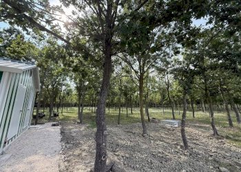 Negozio Ravenna - foto 10