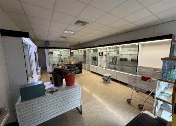 Negozio Ravenna - foto 7