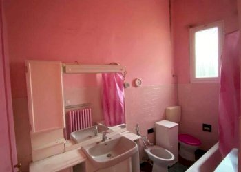 Stable - Palace Bagnacavallo - photo 22