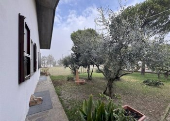Independent house Cervia - photo 22