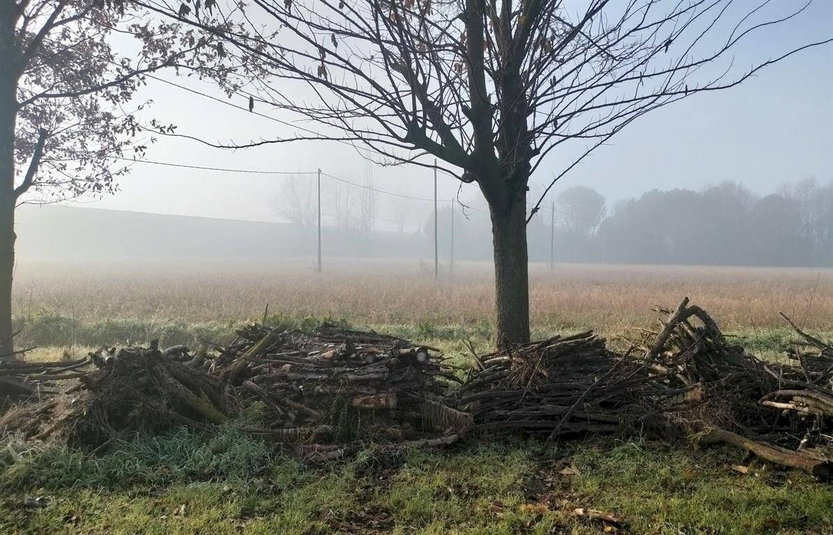 Casa indipendente Ravenna - foto 3