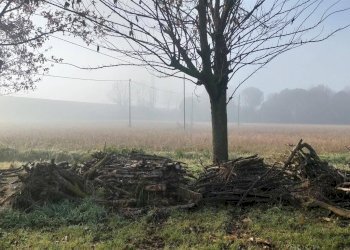 Casa indipendente Ravenna - foto 3