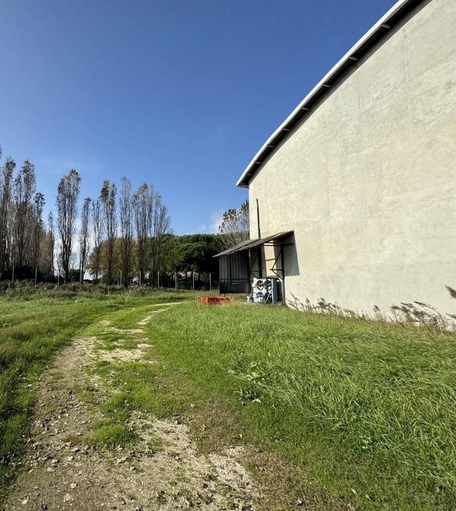 Capannone Ravenna - foto 2