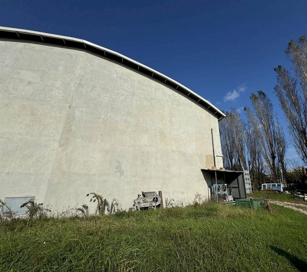 Capannone Ravenna - foto 3