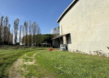 Capannone Ravenna - foto 2