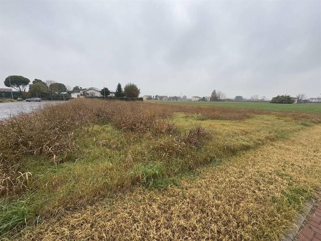 Terreno edificabile Cotignola - foto 2