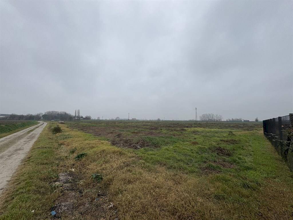 Terreno edificabile Cotignola - foto 3
