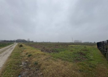 Terreno edificabile Cotignola - foto 3