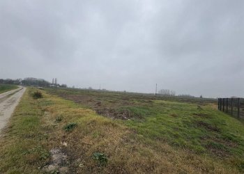 Terreno edificabile Cotignola - foto 4