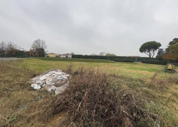 Terreno edificabile Cotignola - foto 5