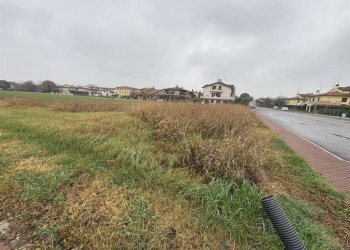 Terreno edificabile Cotignola - foto 7