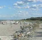 Shop Ravenna - photo 3