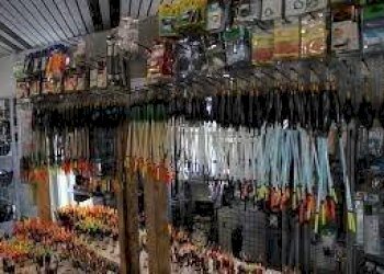 Negozio Ravenna - foto 1