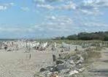 Negozio Ravenna - foto 3