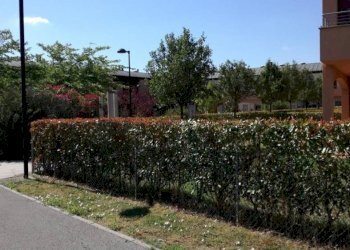 Trilocale Via del Gavitello, Ravenna - foto 13