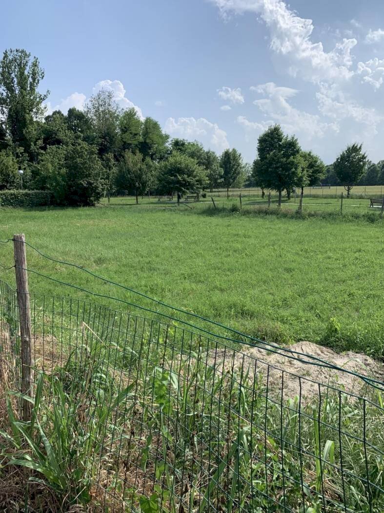 Terreno edificabile Russi - foto 3