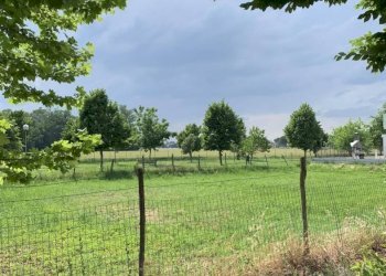 Terreno edificabile Russi - foto 1