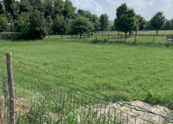 Terreno edificabile Russi - foto 3