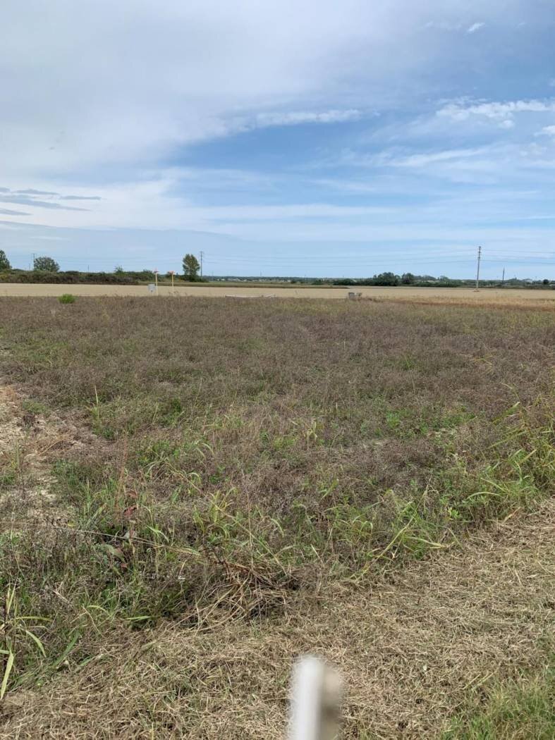 Terreno agricolo Ravenna - foto 1