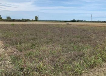 Terreno agricolo Ravenna - foto 1