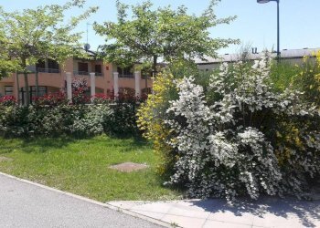 Quadrilocale Via Del Gavitello, Ravenna - foto 15