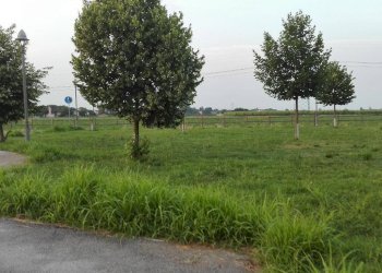 Building land Trav di Via Pavese, Ravenna - photo 6