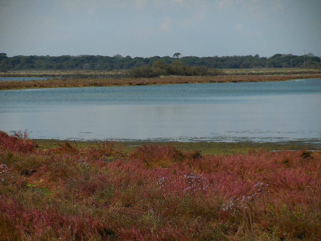 Trilocale Via delle campanelle, Ravenna - foto 3