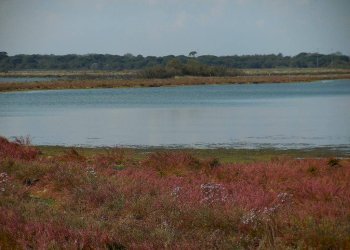 Trilocale Via delle campanelle, Ravenna - foto 3