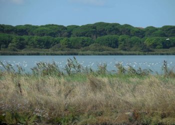 Trilocale Via delle campanelle, Ravenna - foto 5