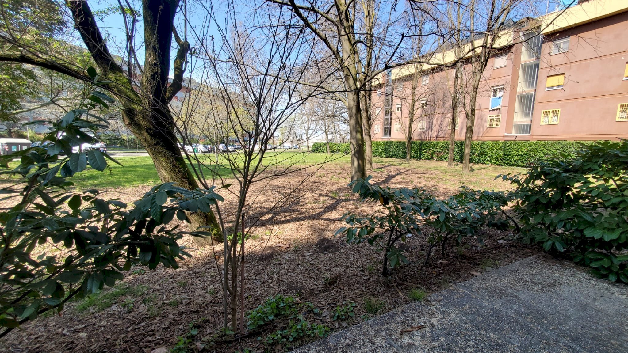 Trilocale Viale Leonardo da Vinci, Modena - foto 2