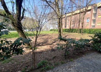 Trilocale Viale Leonardo da Vinci, Modena - foto 2