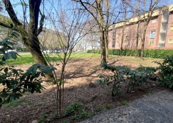 Trilocale Viale Leonardo da Vinci, Modena - foto 41