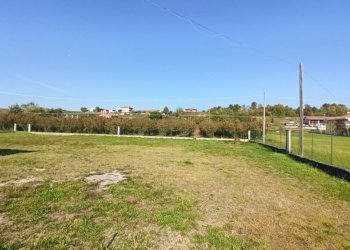 Terreno edificabile Carrù - foto 1