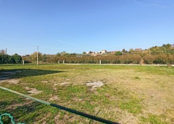 Terreno edificabile Carrù - foto 3