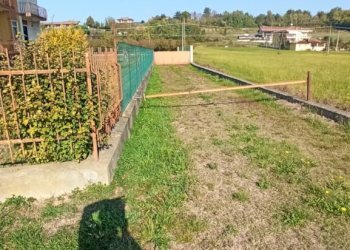 Terreno edificabile Carrù - foto 4