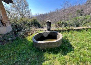 Villa Strada delle mollere, Pinerolo - foto 4