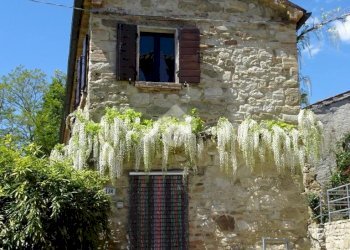 Villa Via meleto, Sogliano al Rubicone - foto 6