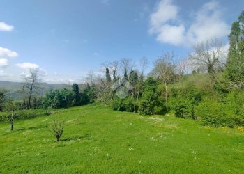 Villa Via meleto, Sogliano al Rubicone - foto 4