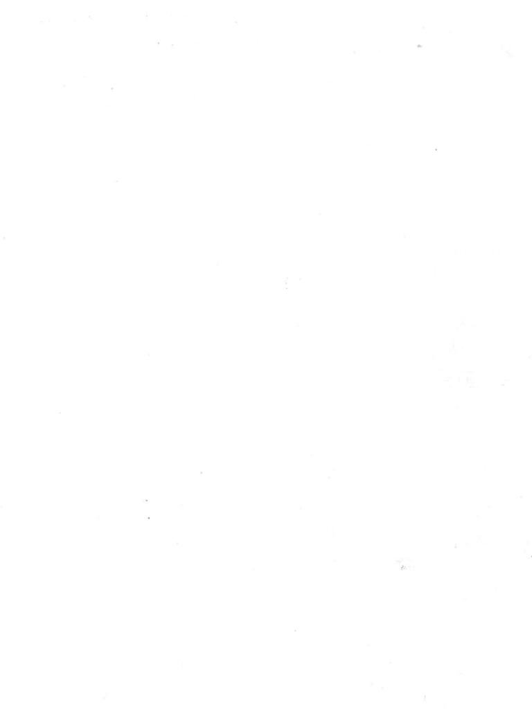 Bilocale Piazza Ruggero Bonghi, Torino (zona Madonna Campagna) - planimetria 1