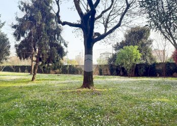 Trilocale Via Stelvio, Cusano Milanino - foto 31