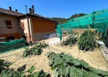 Villa Località San Defendente, Frinco - foto 40