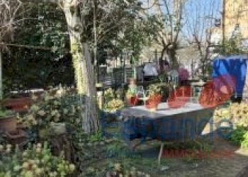 Casa indipendente Forlimpopoli - foto 8