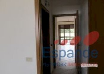 Two-room apartment Pianoro - photo 6