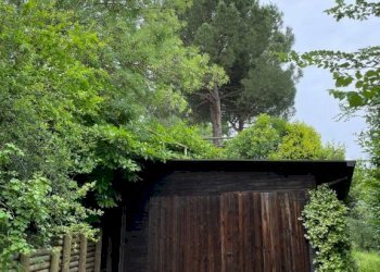 Villa Imola - foto 43